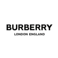 barnd Burberry icon