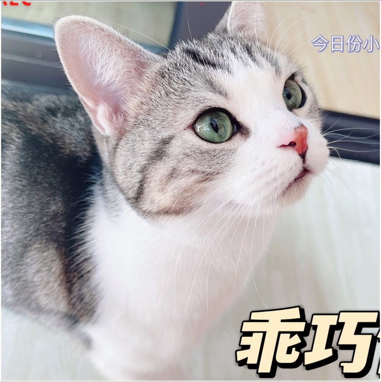 用户弥***岛