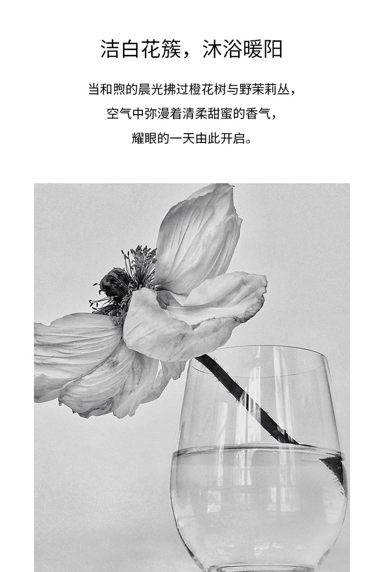 商品Bon Parfumeur|Bon Parfumeur柏氛002浓香水「温柔橙花茉莉」15-30-100ml 古龙香调,价格¥201,第5张图片详细描述