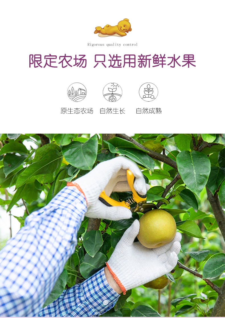 商品[保税仓发货] Bebivita|贝唯他德国进口婴儿辅食水果泥梨西梅香蕉与黑加仑吸吸袋120g*1袋 效期至2022年7月1日,价格¥14.72,第6张图片详细描述