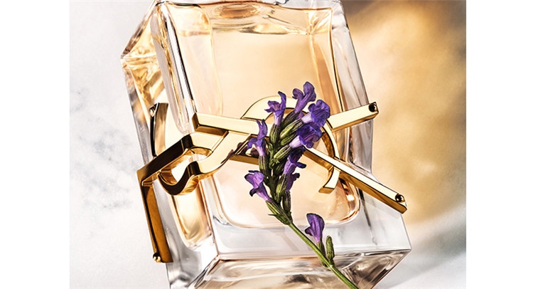 商品Yves Saint Laurent| 圣罗兰自由之香女士香水 EDP浓香水30-50-90-150ml,价格¥404,第9张图片详细描述