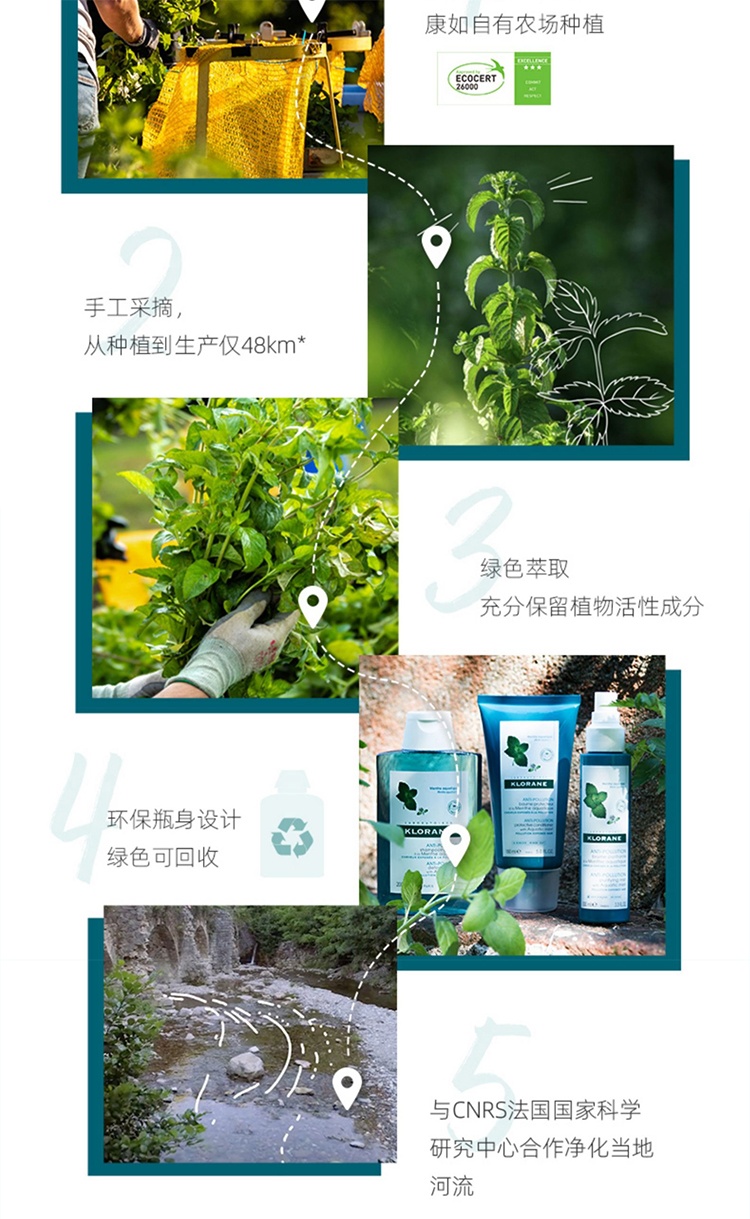 商品KLORANE|Klorane康如水薄荷精华喷雾100ml 控油去屑,价格¥167,第5张图片详细描述