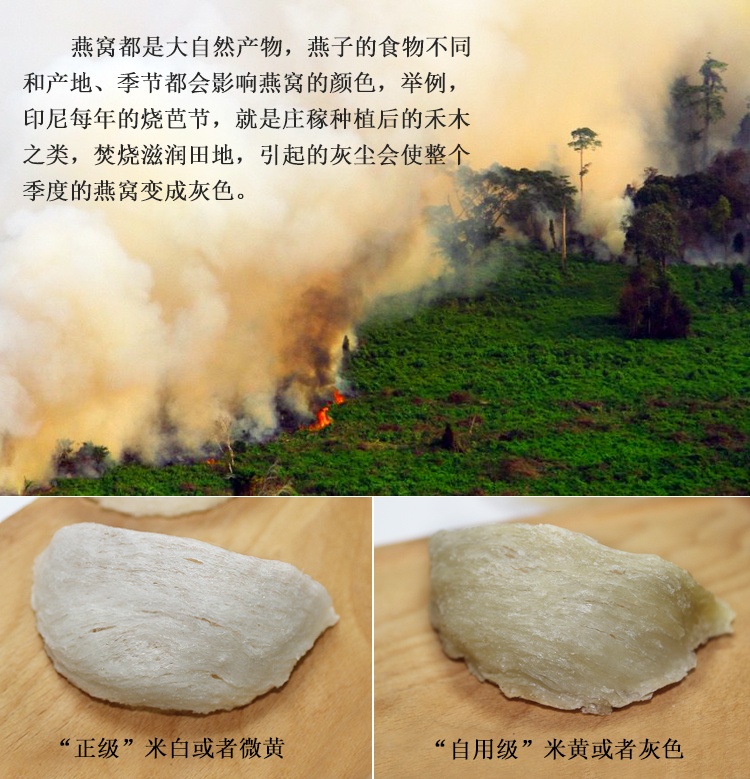 商品Loushang|香港楼上 龙牙白燕盏(自用级) 正品孕妇燕窝滋补品37.8g,价格¥1715,第3张图片详细描述