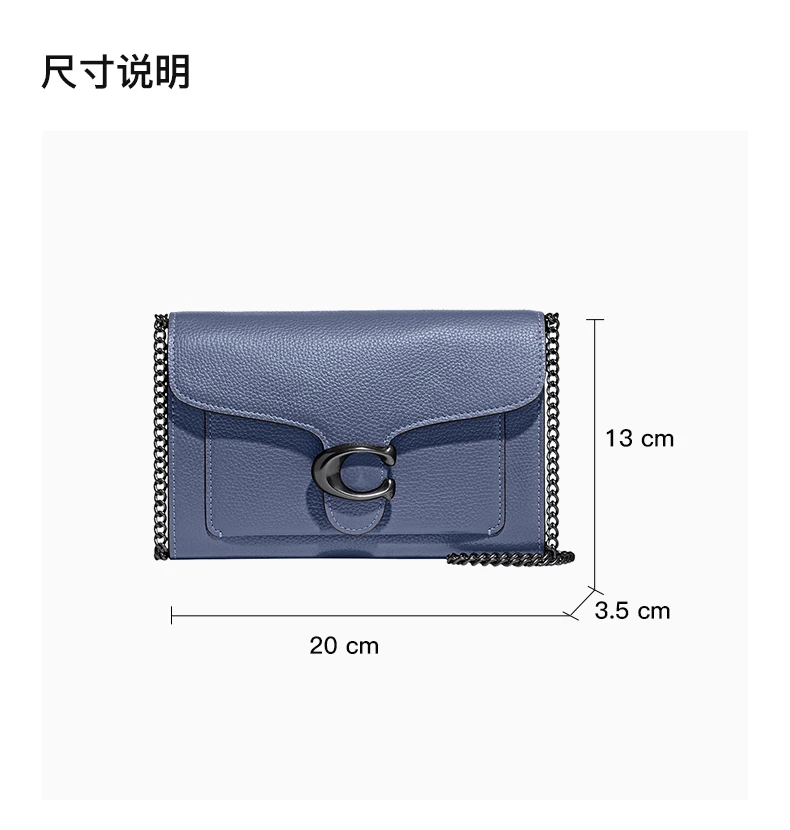 商品[国内直发] Coach|COACH 蓝色女士单肩包 89364V5D61,价格¥1200,第3张图片详细描述