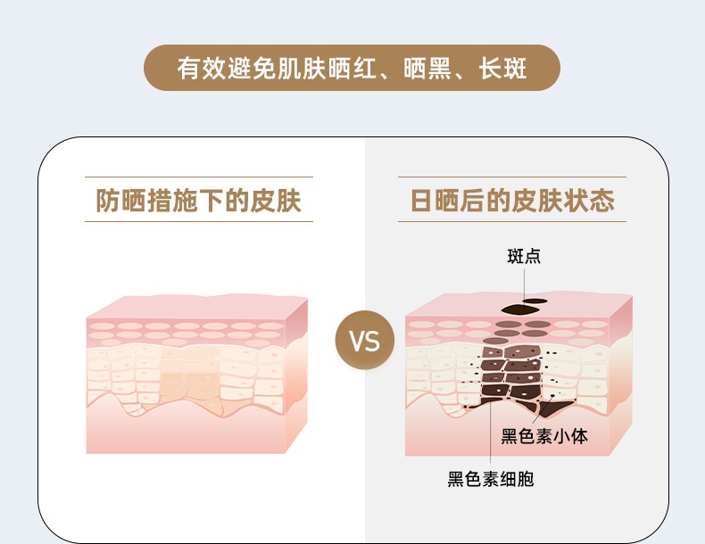 商品[国内直发] MobiGarden|黑胶天幕户外露营防雨防紫外线大空间遮阳棚蝶形牛津观庭,价格¥972,第20张图片详细描述