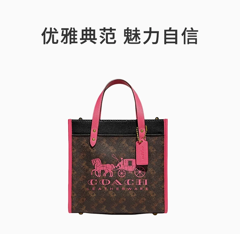 商品Coach|COACH 棕色女士单肩包 C8456B4TXG,价格¥1228,第1张图片详细描述