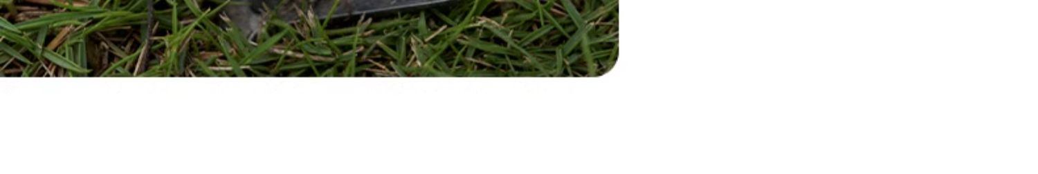 商品[国内直发] MobiGarden|黑胶天幕户外露营防雨防紫外线大尺寸隧道式牛津观庭,价格¥899,第54张图片详细描述
