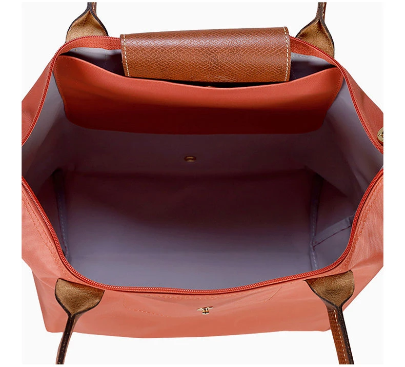 商品Longchamp|LONGCHAMP 女橙色女士双肩包 L2605_089_P63,价格¥803,第3张图片详细描述