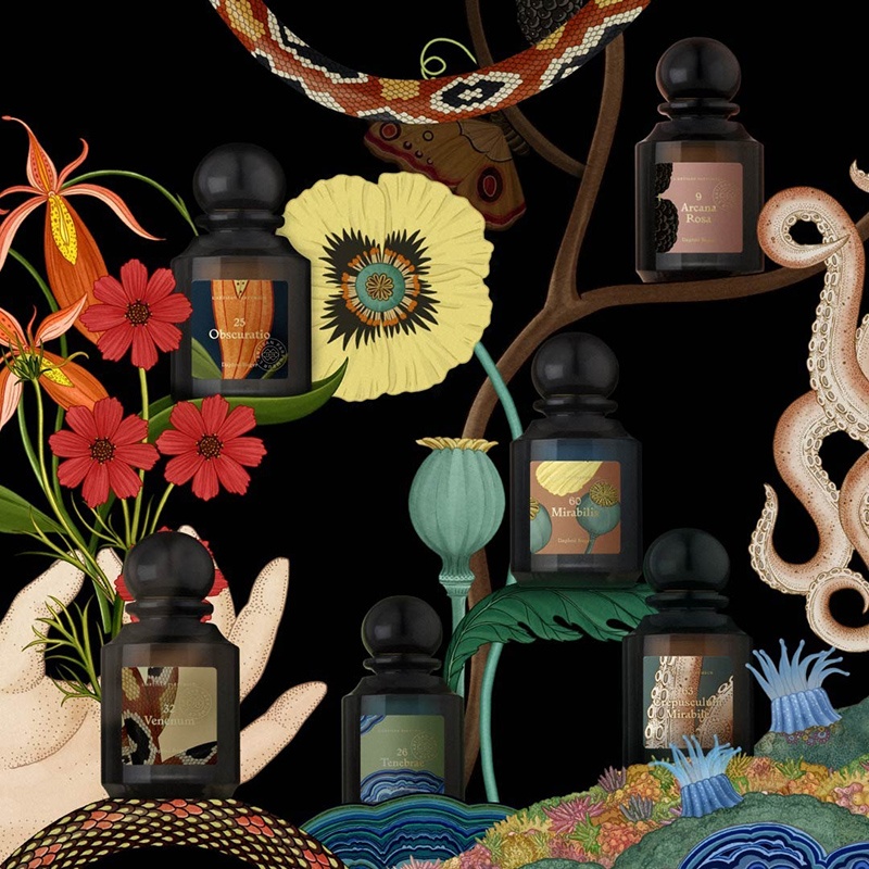 商品L'artisan Parfumeur|L'ARTISAN PARFUMEUR阿蒂仙之香 LBxKS系列限量版中性香水75ml,价格¥1488,第11张图片详细描述
