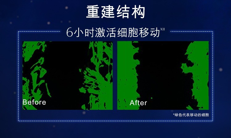 商品Estée Lauder|雅诗兰黛小棕瓶精华液面部维稳修护抗皱滋润50ml/100ml【香港直邮】Advanced Night Repair Synchronized Multi-Recovery Complex,价格¥443,第8张图片详细描述