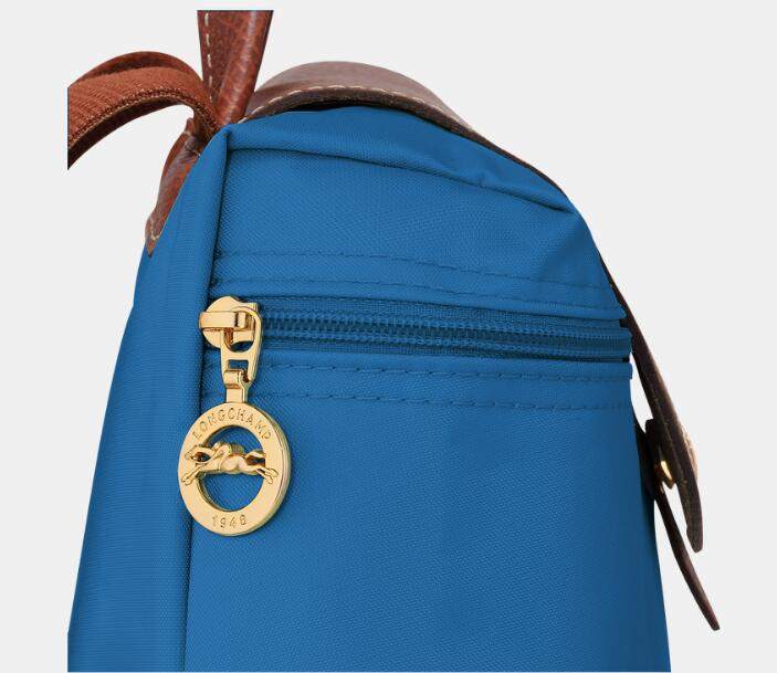 商品Longchamp|珑骧女士多色经典双肩包L1699 089 （香港仓发货）,价格¥665,第7张图片详细描述