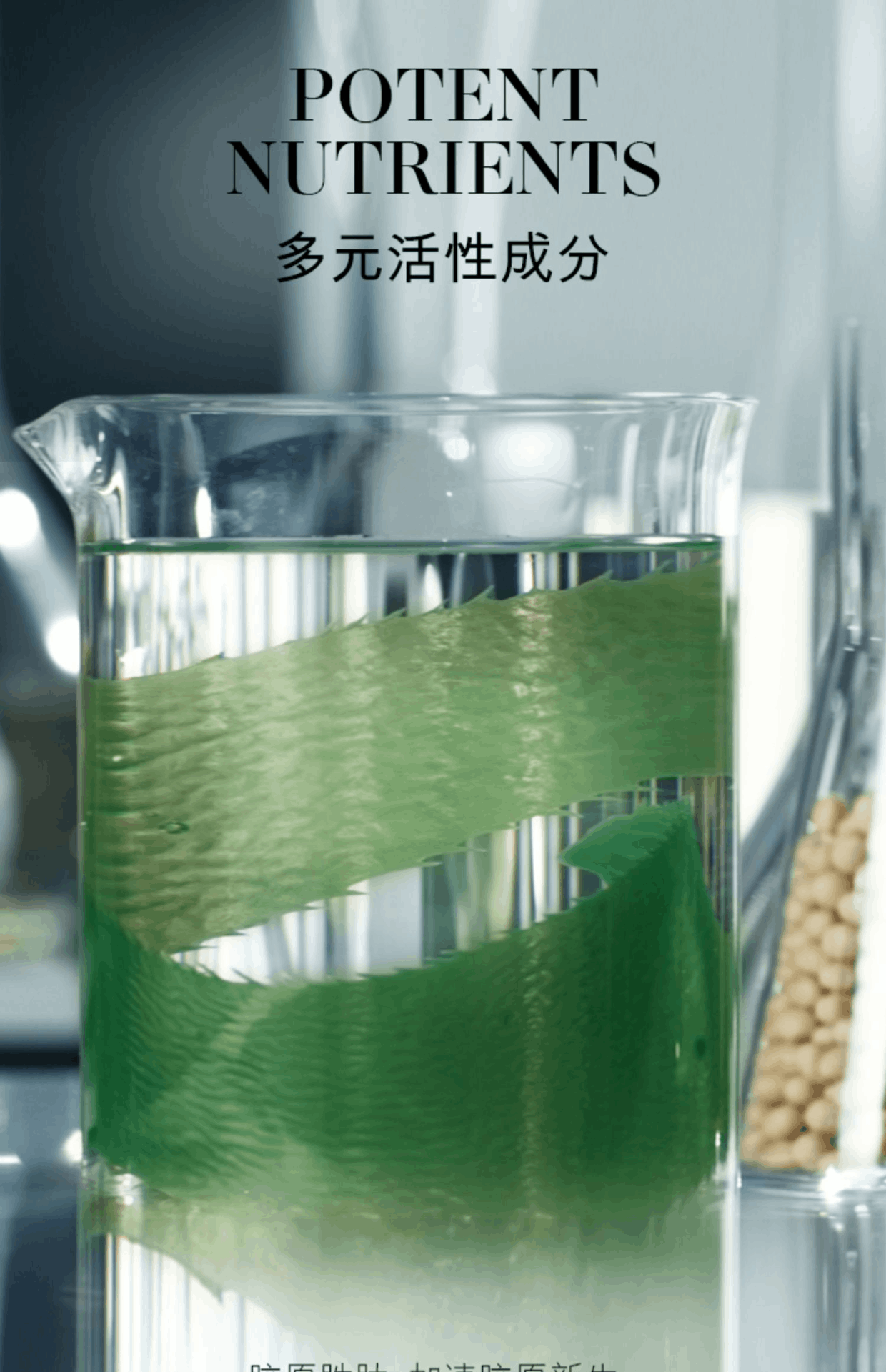 商品[国内直发] La Mer|【免税店发货】海蓝之谜修护精萃乳  50ml,价格¥906,第7张图片详细描述