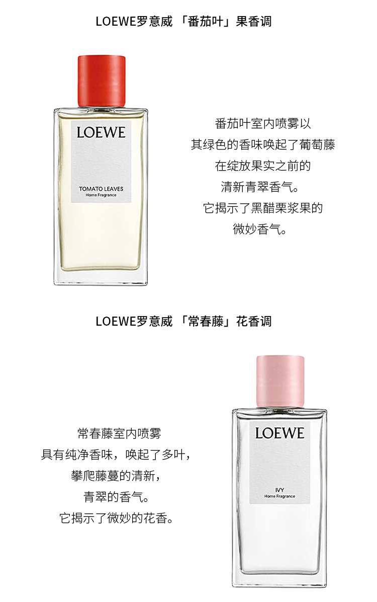 商品Loewe|LOEWE罗意威全系列室内喷雾150ml,价格¥796,第12张图片详细描述