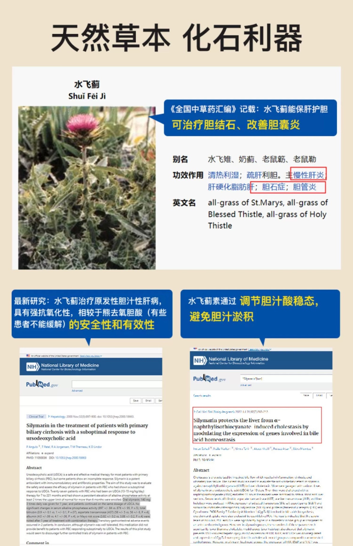 商品&be|善清疗强力消石素 德国进口肾结石排石药养肝护肝碎石胶囊 60粒,价格¥183,第15张图片详细描述