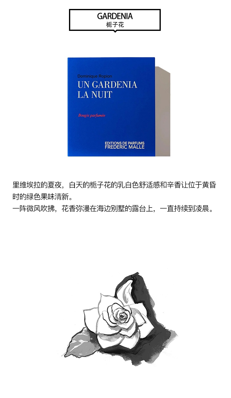 商品Frederic Malle|Frederic mall馥马尔全系列香氛蜡烛220g,价格¥545,第5张图片详细描述