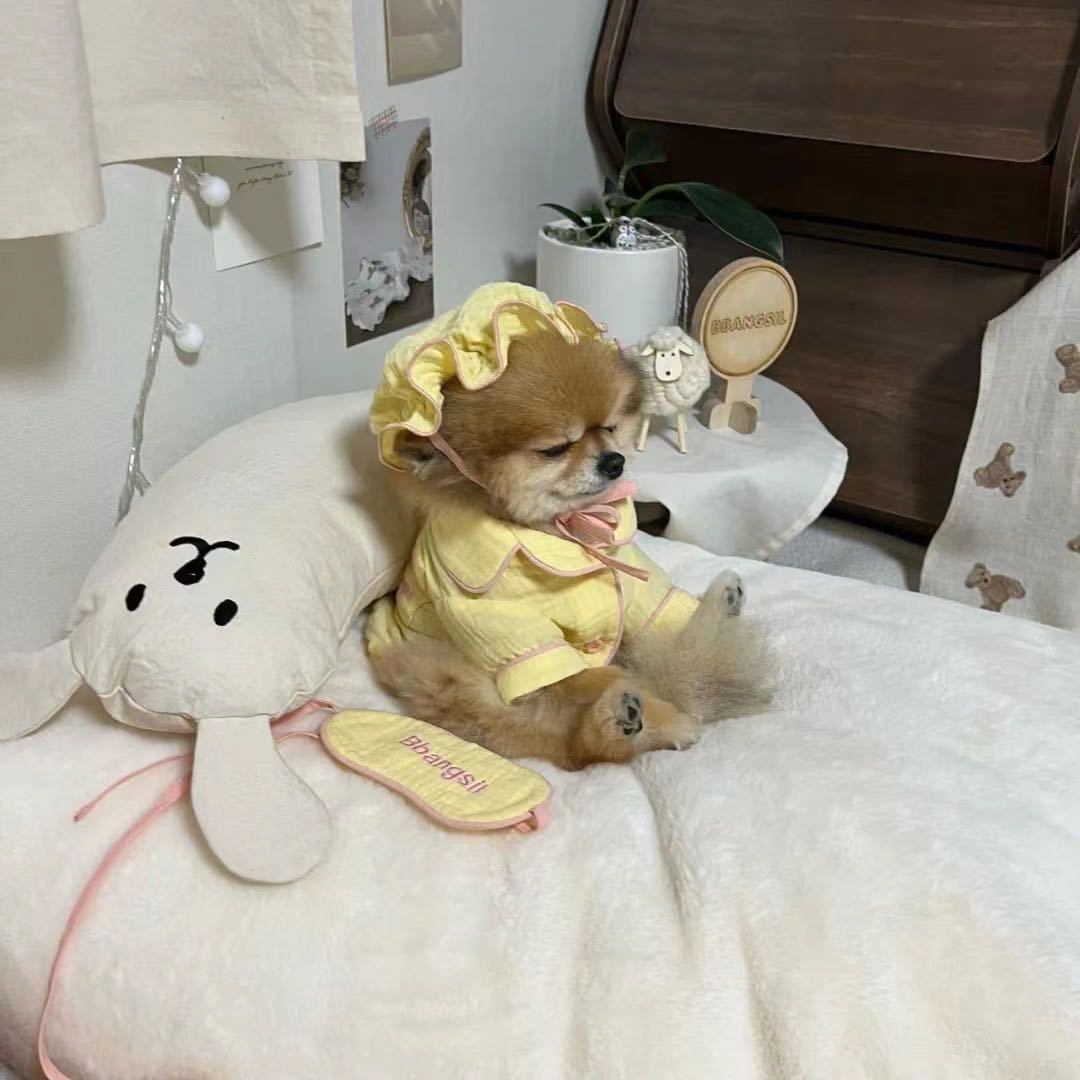 商品[国内直发] Taaffe|豌豆陪睡枕 经典纯色（20色）|Pea Pillow ,价格¥255,第19张图片详细描述