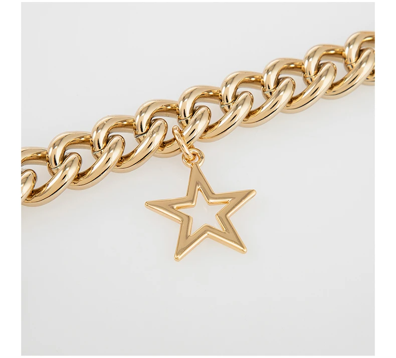 商品PINKO|Pinko 品高 女士金色替换包链 1P21PZ-Y67KZKY,价格¥173,第3张图片详细描述