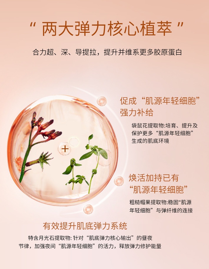 商品[国内直发] Clarins|娇韵诗 焕颜紧致弹簧日晚霜护肤套装 日霜50ML+晚霜50ML 提拉紧致抗皱补水保湿滋润弹簧霜,价格¥887,第5张图片详细描述