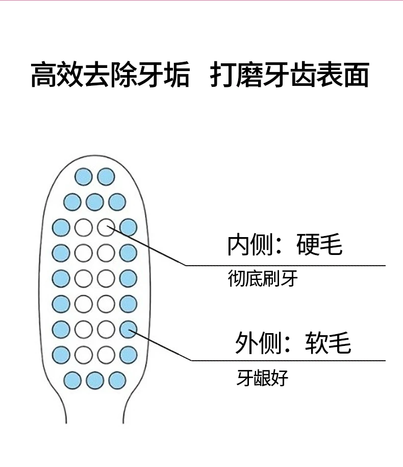商品[国内直发] Skater|SKATER成人用肉桂狗牙刷30g,价格¥31,第6张图片详细描述