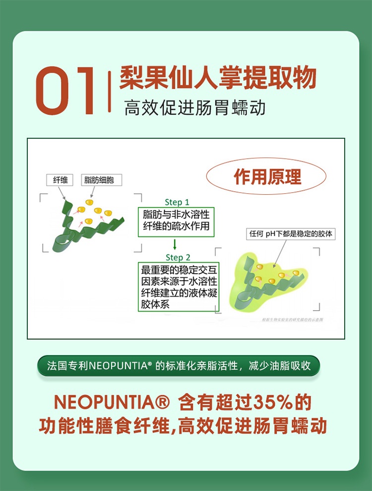 商品[国内直发] Biowell|【保税直发】Biowell润肠片促进肠胃蠕动温和排便清肠片90片,价格¥252,第4张图片详细描述