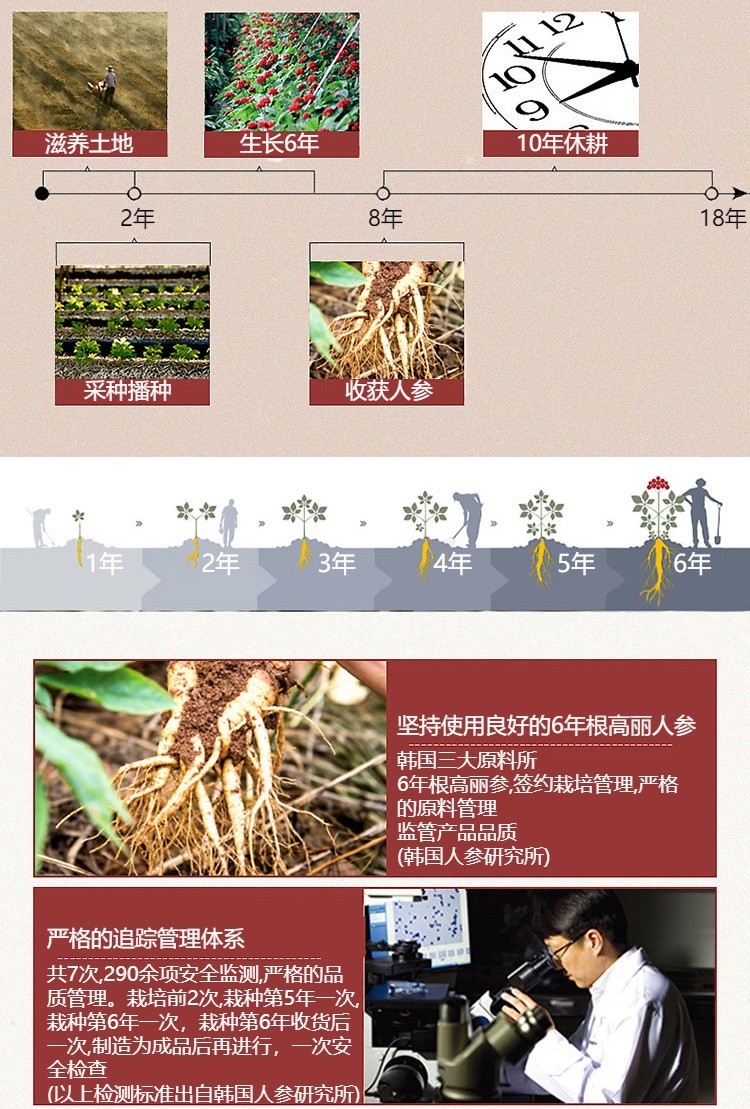 商品[国内直发] Jeong Gwanjang| 正官庄高丽参红参茶75g/盒（3g*25袋）保健食品 免疫调节（韩国原装进口）约8天/盒,价格¥110,第9张图片详细描述