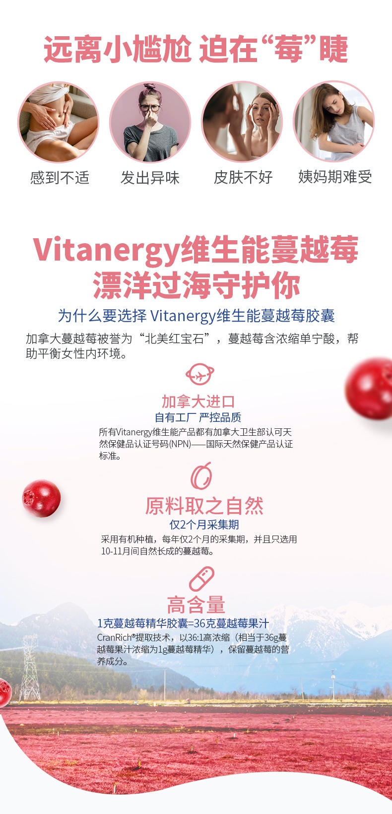 商品[国内直发] Vitanergy|加拿大维生能蔓越莓精华胶囊卵巢女性成人营养泌尿系统保养90粒 | Cranberry Concentrate【2025年6月有效期】,价格¥105,第2张图片详细描述