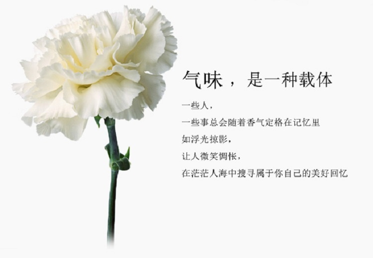 商品Diptyque|Diptyque蒂普提克影中之水淡香水100ml,价格¥784,第6张图片详细描述