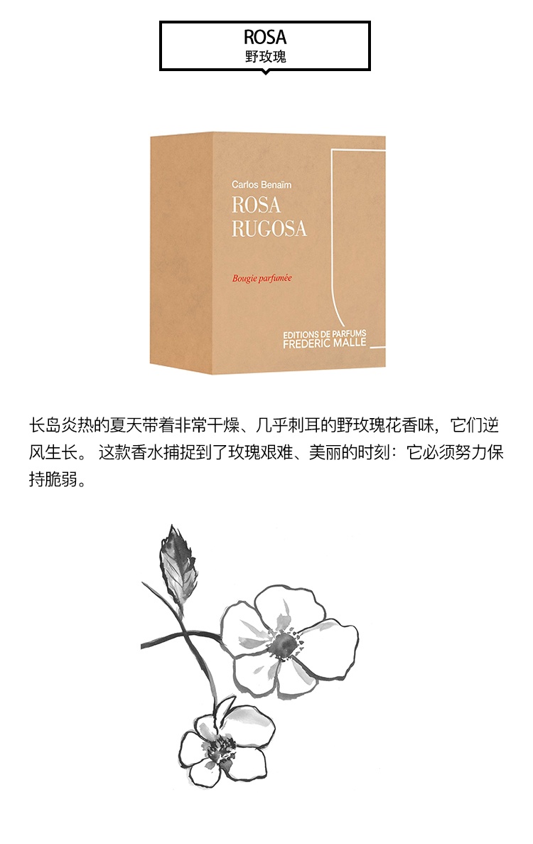 商品Frederic Malle|Frederic mall馥马尔全系列香氛蜡烛220g,价格¥512,第13张图片详细描述