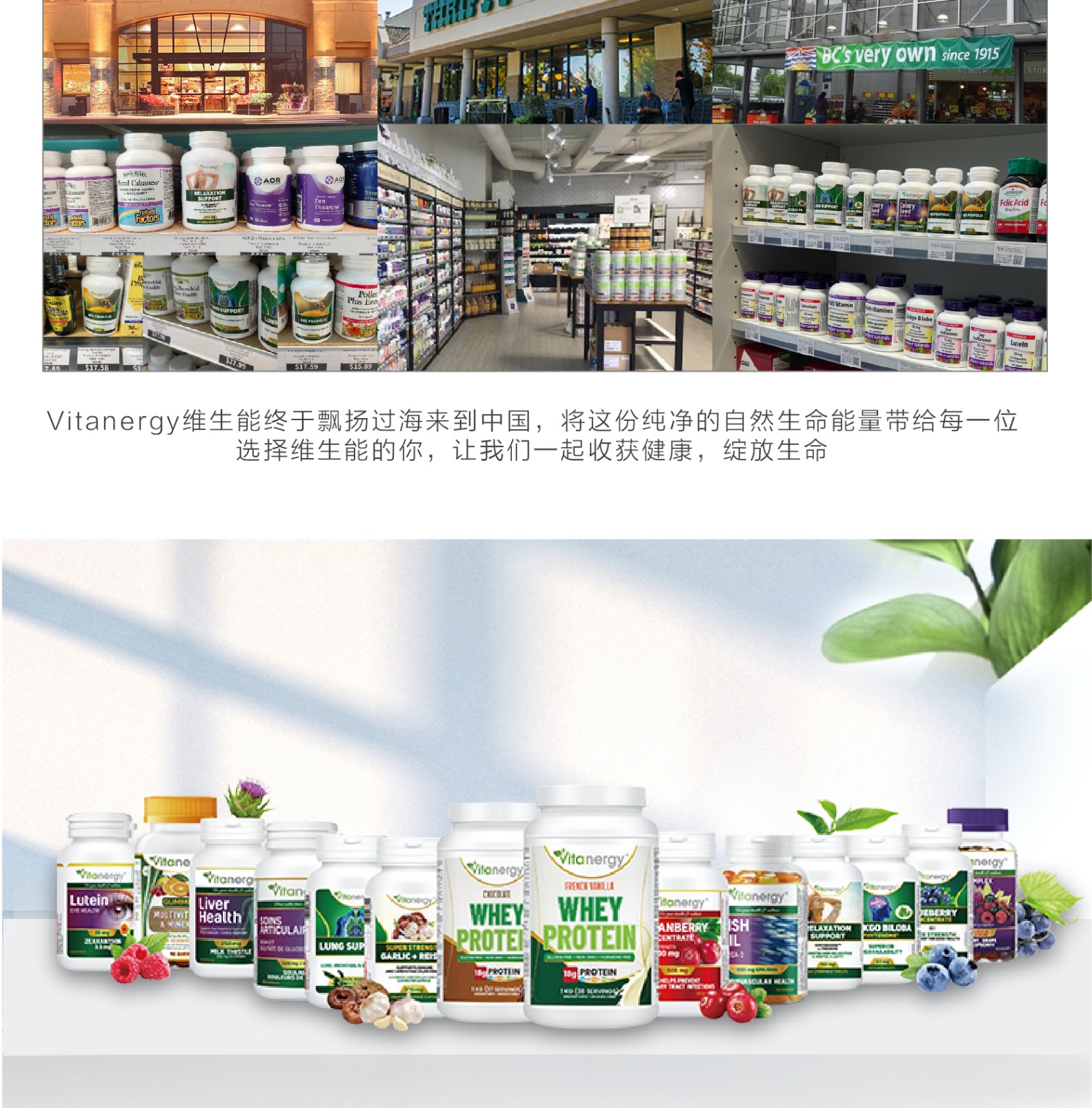 商品[国内直发] Vitanergy|加拿大Vitanergy维生能肉桂精华 平衡血糖 增强体质 调节高血糖 60/瓶 | Cinnamon Extract【有效期2024年8月】,价格¥29,第16张图��片详细描述