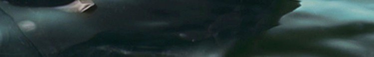 商品[国内直发] La Mer|海蓝之谜浓缩密集修护眼霜15ml,价格¥1253,第2张图片详细描述