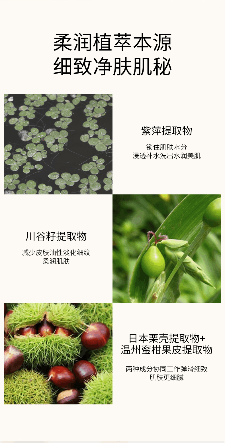 商品Sulwhasoo|Sulwhasoo|雪花秀 顺行柔和净肤泡沫洗面奶 200ml 温和清洁 细腻亲肤,价格¥127,第4张图片详细描述