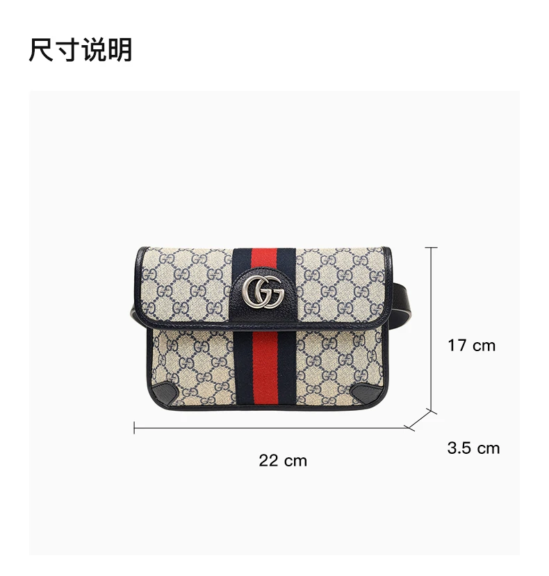 商品[国内直发] Gucci|GUCCI 拼色女士腰包 674081-96IWN-4076,价格¥9008,第3张图片详细描述