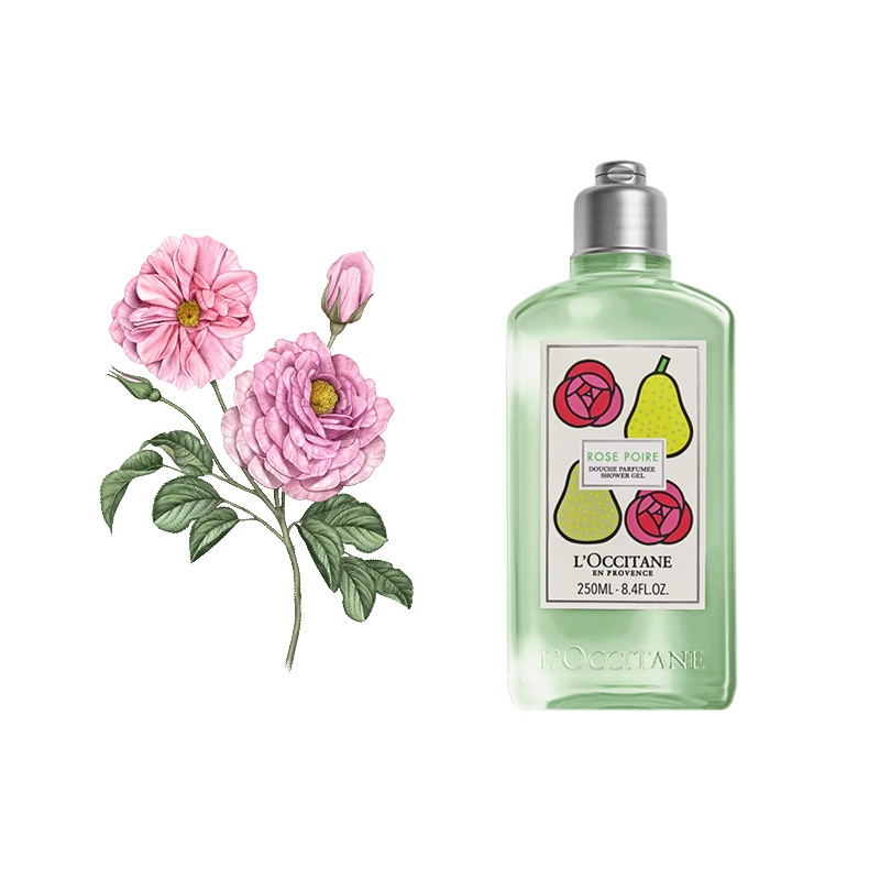 商品L'Occitane|欧舒丹 清新保湿沐浴啫喱沐浴露 250ml 玫瑰雪梨【22年限量款】,价格¥193,第7张图片详细描述