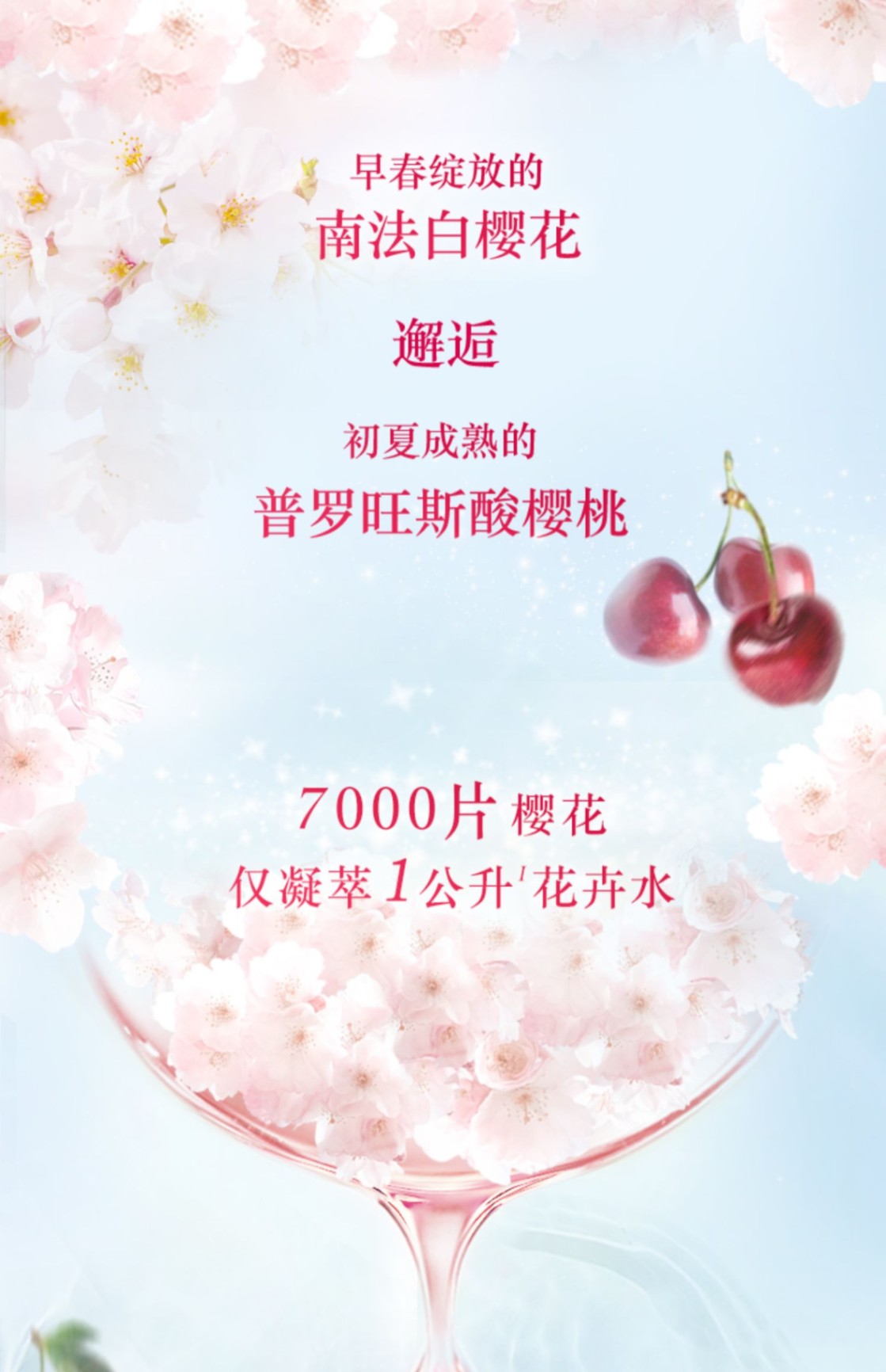 商品L'Occitane| L'occitane/法国欧舒丹甜蜜樱花润肤露身体乳 滋润保湿补水香体防干燥250ml【香港直邮】LOCCITANE CHERRY BLOSSOM SHIMMERING LOTION 250ml,价格¥149,第2张图片详细描述