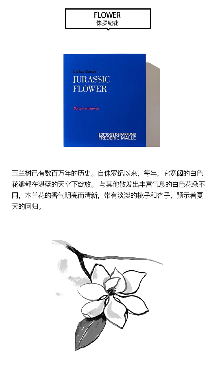 商品Frederic Malle|Frederic mall馥马尔全系列香氛蜡烛220g,价格¥545,第12张图片详细描述