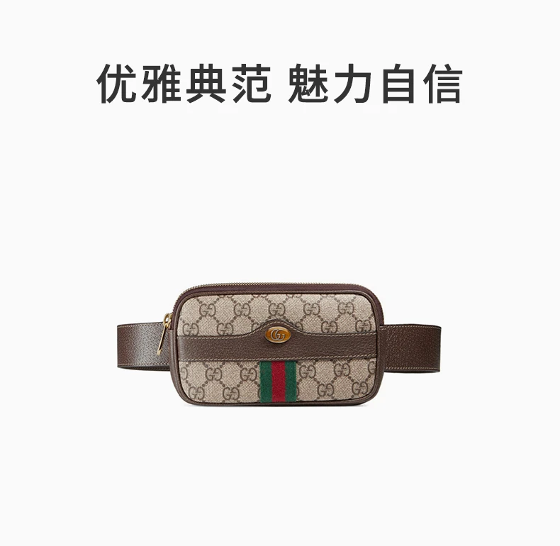 商品Gucci|GUCCI 棕色女士腰包 519308-96IWS-8745,价格¥4216,第1张图片详细描述