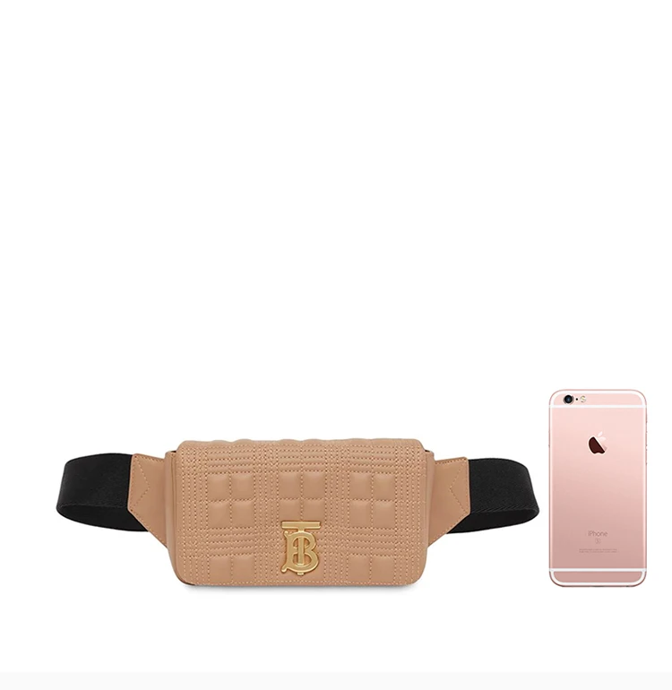 商品Burberry|Burberry 博柏利 女士裸粉色金属装饰腰包 8028871,价格¥4576,第5张图片详细描述