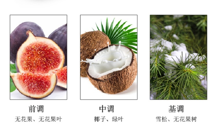 商品Diptyque|Diptyque蒂普提克无花果淡香水50ml-100ml,价格¥813,第6张图片详细描述