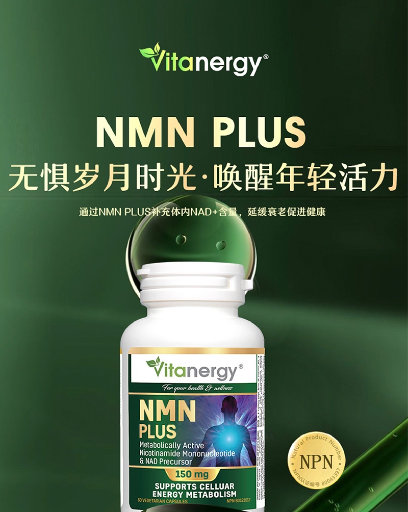 商品[国内直发] Vitanergy|加拿大Vitanergy维生能NMN9000烟酰胺单核苷酸PLUS 60粒/瓶 | Vitanergy NMN PLUS9000    150mg 60 Cap,价格¥1341,第1张图片详细描述