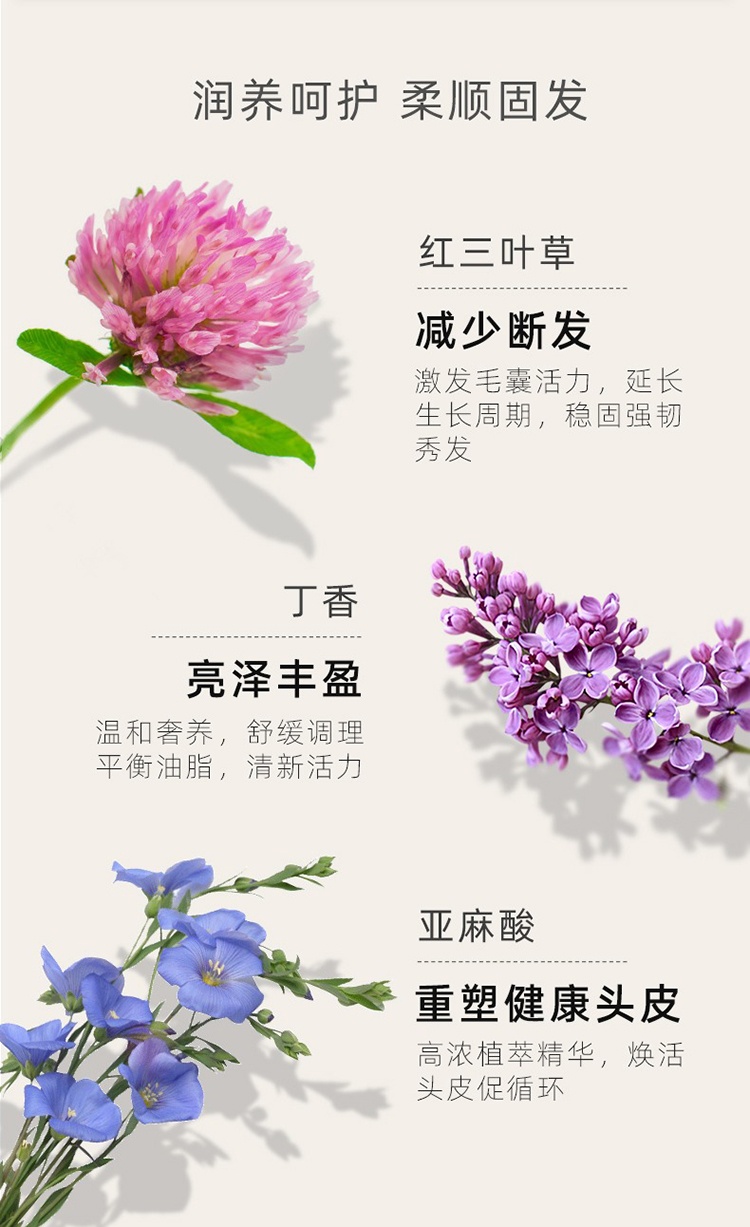 商品Lazartigue|Lazartigue娜莎迪强效增发精华液50ml 强韧发根,价格¥357,第5张图片详细描述