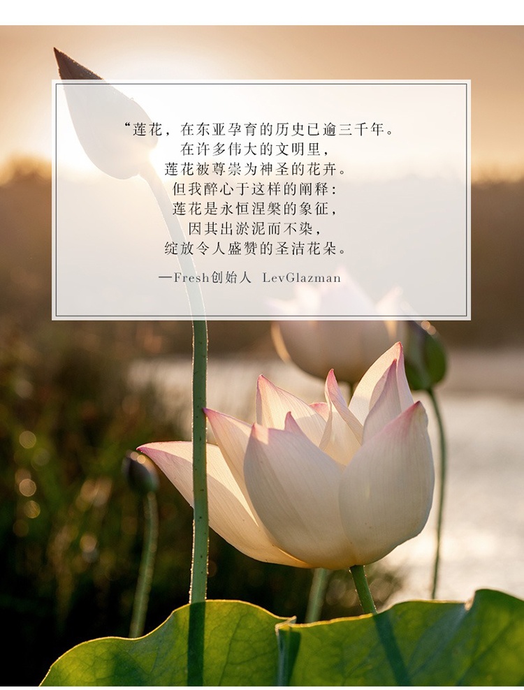 商品Fresh|Fresh馥蕾诗Lotus面膜补水滋润涂抹式保湿 熬夜面膜去角质30-100ml,价格¥233,第7张图片详细描述