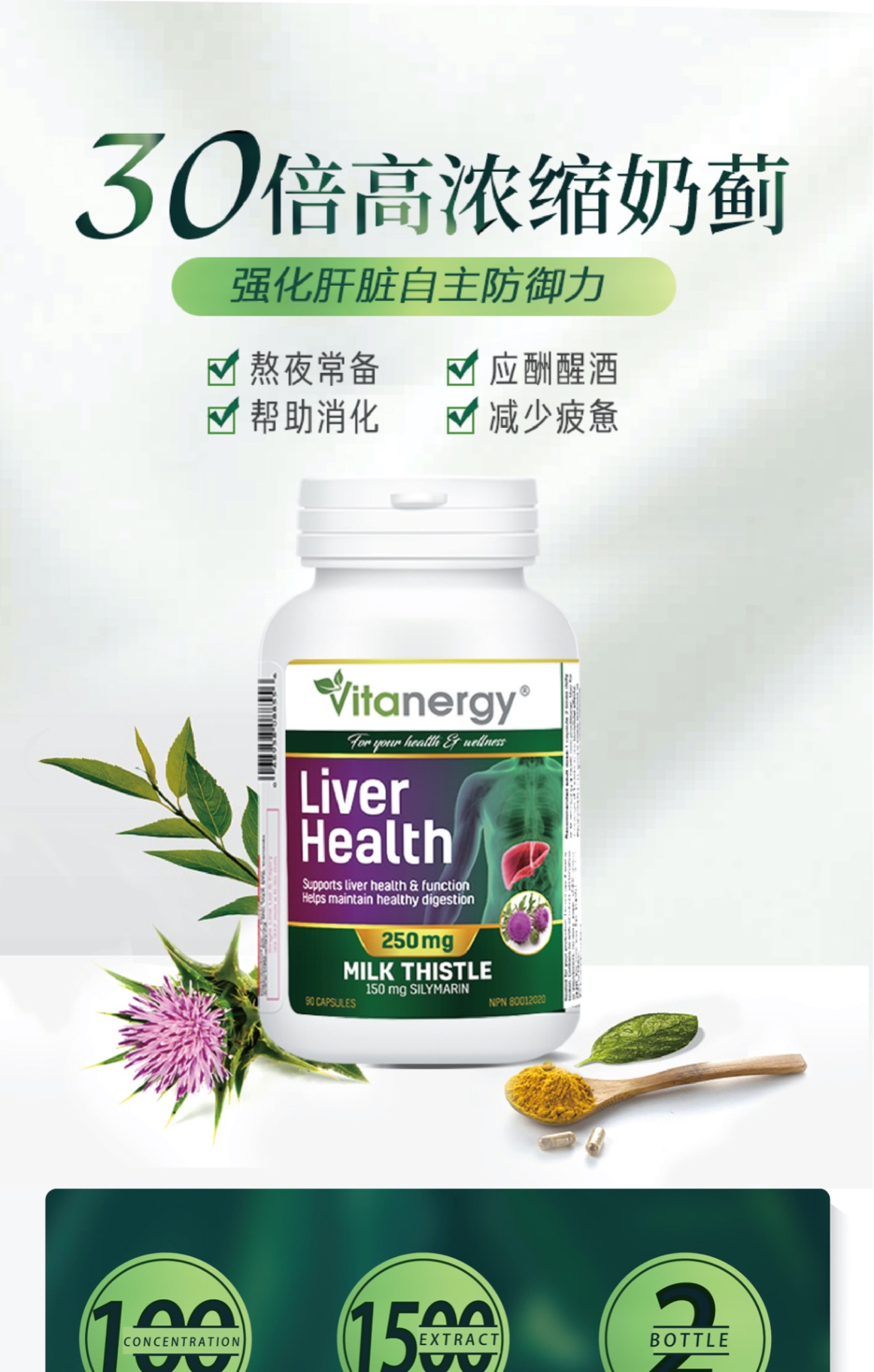 商品[国内直发] Vitanergy|加拿大Vitanergy维生能奶蓟草精华护肝片解酒 成人醒酒 熬夜 排毒 保肝利胆90粒 | Milk Thistle【2025年5月有效期】,价格¥208,第1张图片详细描述