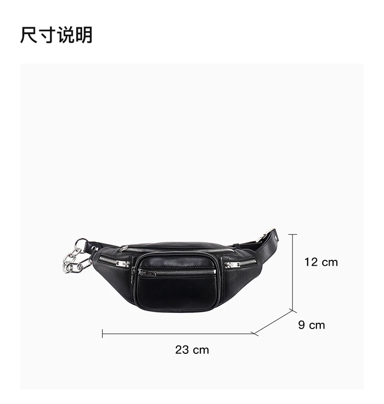 商品Alexander Wang|ALEXANDER WANG 黑色女士腰包 2030P0073C-001  23*12*9cm,价格¥3187,第3张图片详细描述