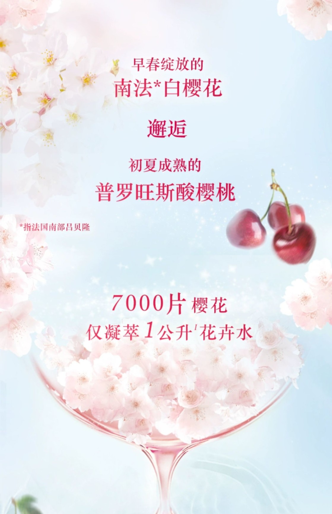 商品L'Occitane|L'OCCITANE 欧舒丹 樱花圣诞3三件套身体乳250ml沐浴露250ml护手霜75ml 闪亮少女肌,价格¥497,第2张图片详细描述