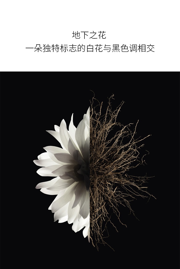 商品Givenchy|纪梵希 心无禁忌止汗喷雾100ml 持久清新,价格¥317,第8张图片详细描述