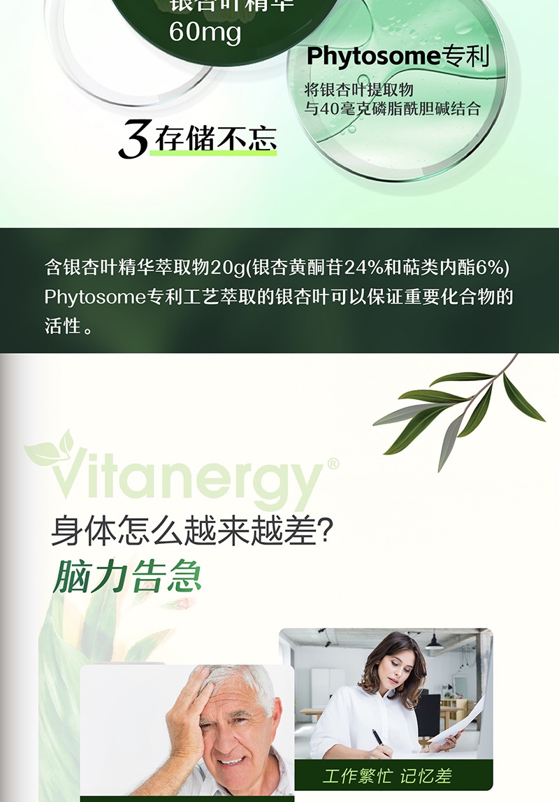 商品[国内直发] Vitanergy|【2026年6月到期】加拿大Vitanergy维生能银杏叶精华银杏补脑 提高记忆力 提高认知能力 改善老年痴呆60粒 | Ginkgo Extract,价格¥199,第3张图片详细描述
