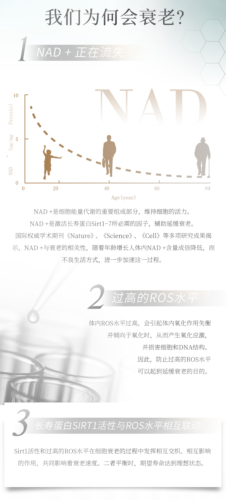 商品[国内直发] GT&G|日本进口 NMN COMBO(旅行装) 抗疲劳 增强免疫力 逆龄必备12粒/袋,价格¥202,第2张图片详细描述