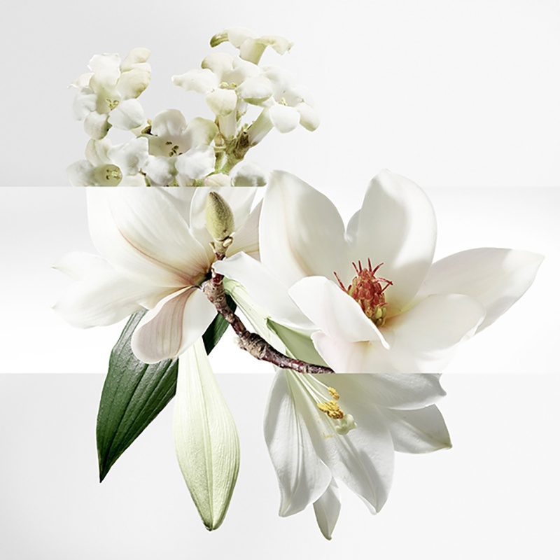 商品Hermes|爱马仕泻湖花园沐浴香皂100g,价格¥199,第5张图片详细描述