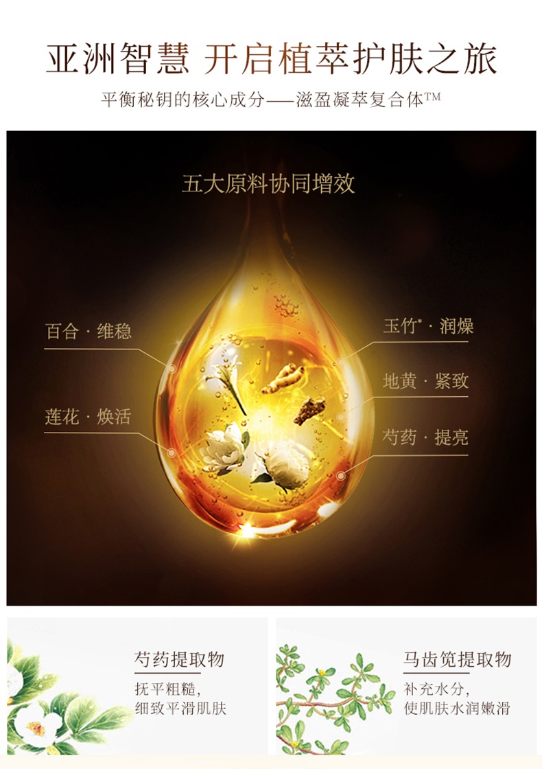 商品Sulwhasoo|Sulwhasoo 雪花秀 滋盈肌本润颜水乳套装两件套,价格¥473,第4张图片详细描述