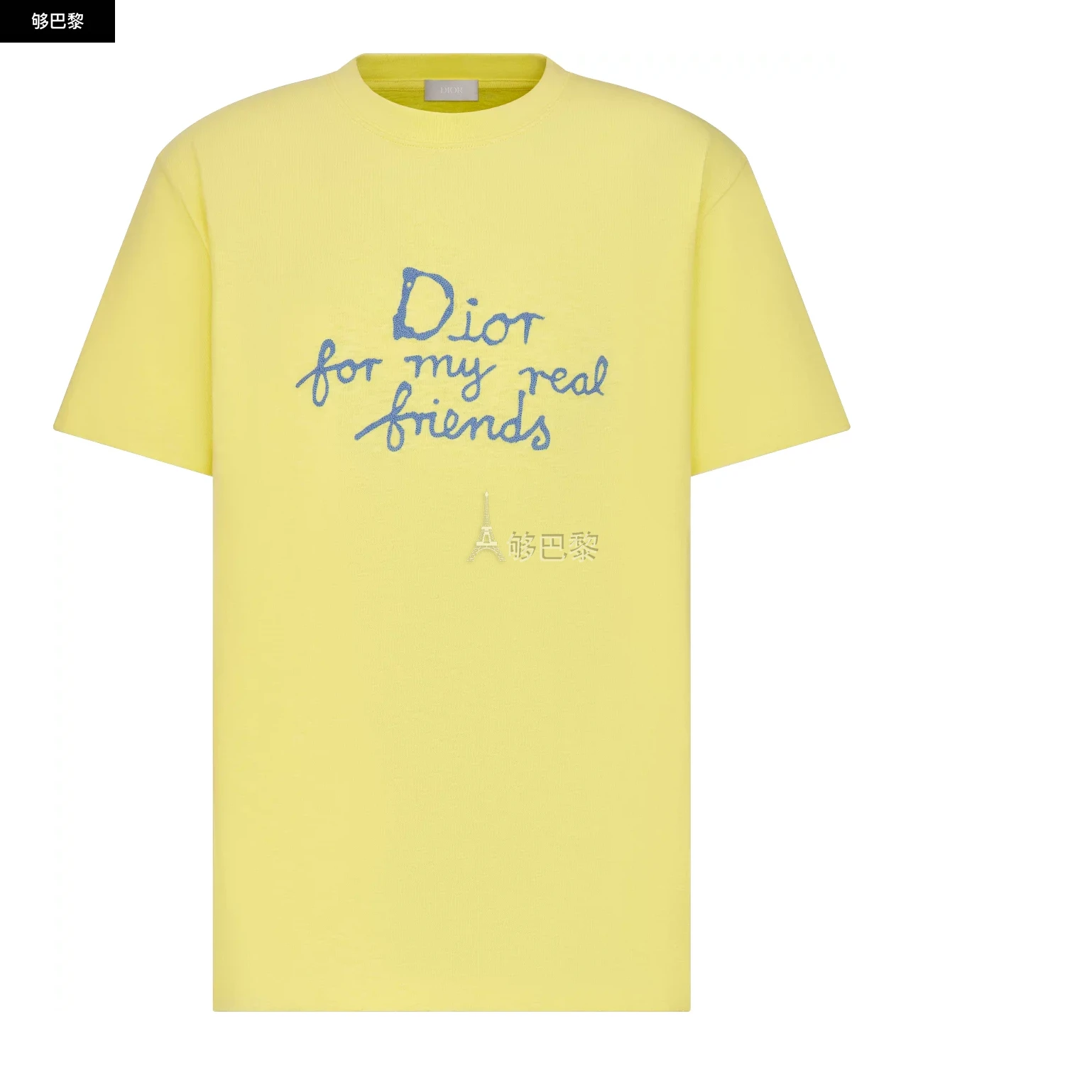商品Dior|【预售】 迪奥 25春夏 男士 短袖T恤 DIOR AND HYLTON NEL 宽松版型 T 恤 583J696A0849_C285,价格¥7794,第2张图片详细描述